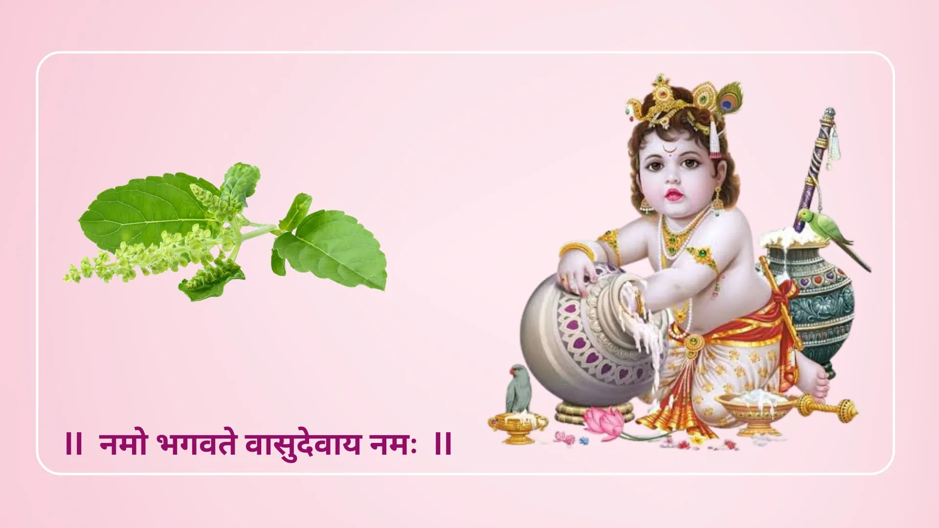 Tulsi Patra