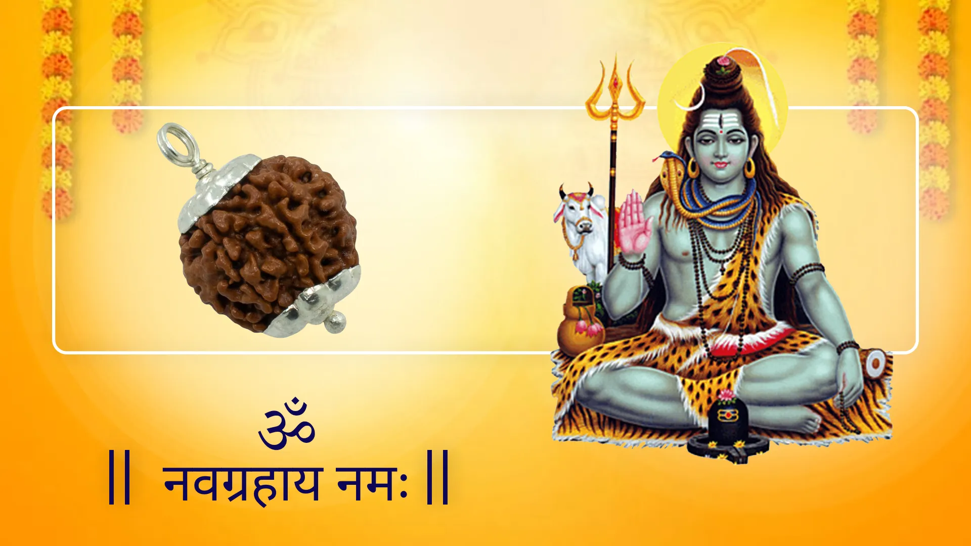 Abhimantrit 7 Mukhi Rudraksh with Silver Cap